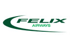 airline logo