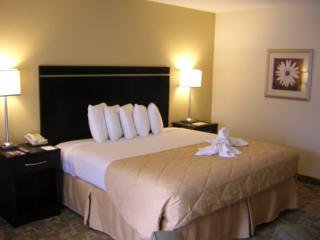 Clarion Inn & Suites Orlando International Drive