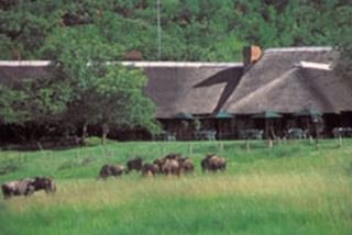 Bakubung Bush Lodge
