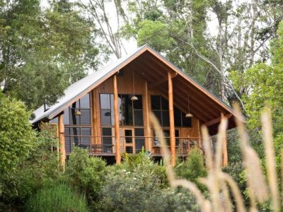 Canopy Rainforest Treehouses
