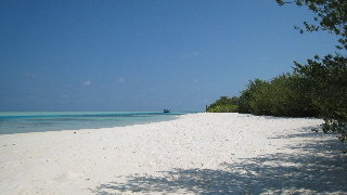 White Shell Beach Inn
