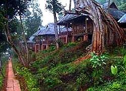Stupa Mountain Lodge