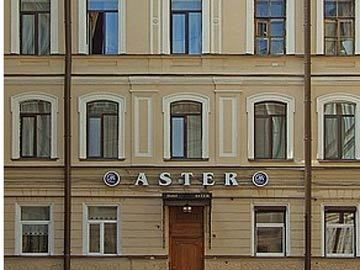 Nevsky Aster