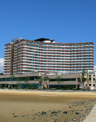 Beache Palace Condo