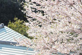 Hanashinsui