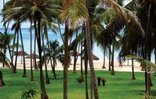 Dream of Zanzibar