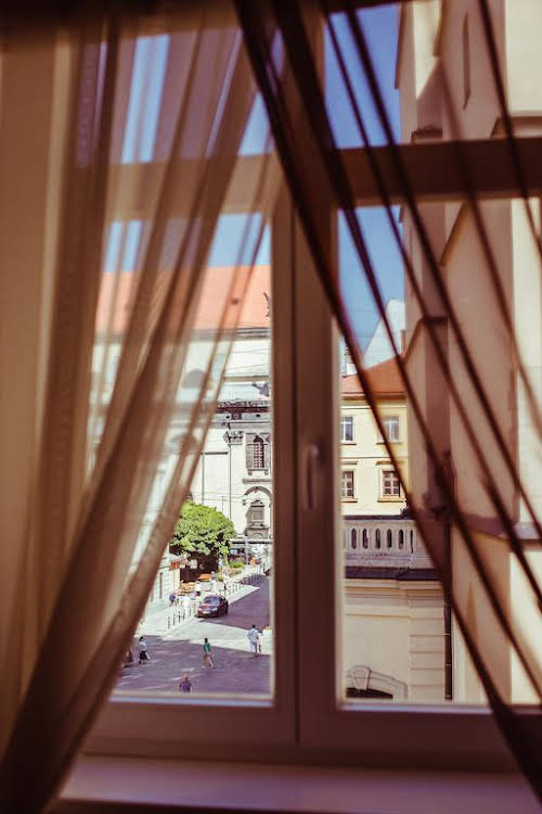 Apartments Lux in city center Lviv