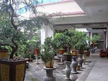 Daxianglong Tea Theme Hotel - Baoshan