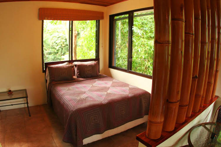 Jungle Vista Inn