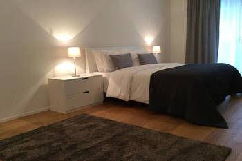 Central Apartment in Lucerne