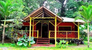 Yare Jungle Lodge