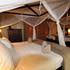 Thornhill Safari Lodge