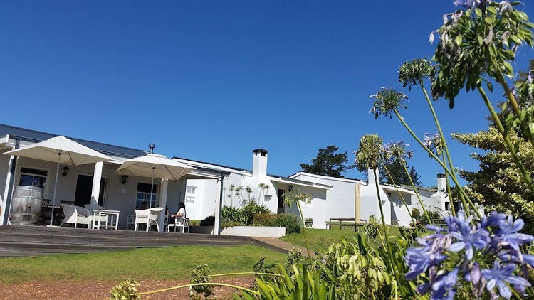 Paul Wallace Wines and Guest Cottages