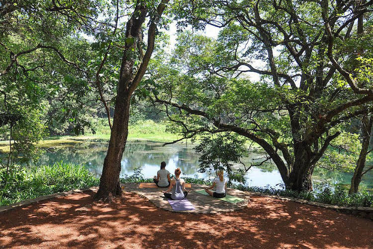 Ngare Sero Mountain Lodge