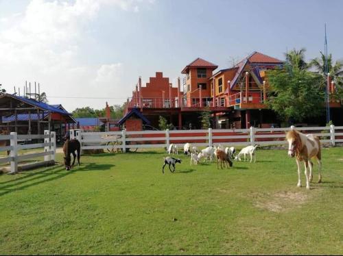 Dome Ing Prao Cowboy Home-stay