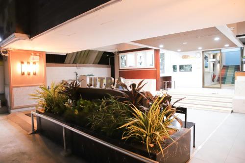 Jitra Apartment