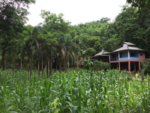 Farmstay At Pha Ma Resort
