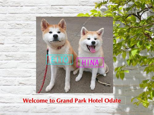 Grand Park Hotel Odate
