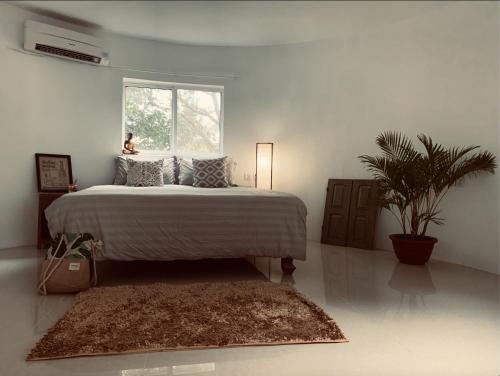 Bodia Retreat, Kampot