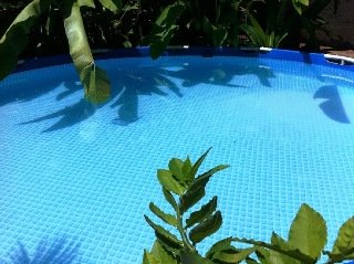 Casa del Mango EcoLodge By Emblema Hotels