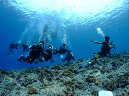 Half-day Scuba Diving Tour At Chibishi Island, Kerama