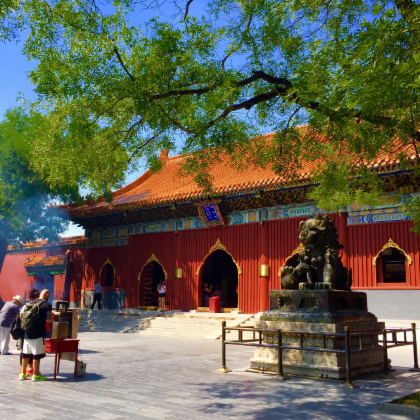 Full-day Summer Palace, Lama Temple And Panda Garden Tour
