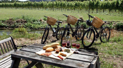 Bike Tour: Tuscan Hills And Winery Estate