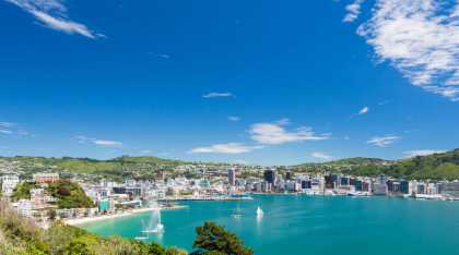 Wellington City And Coastline Tour