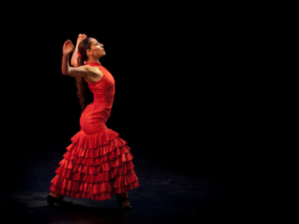 Arte Flamenco