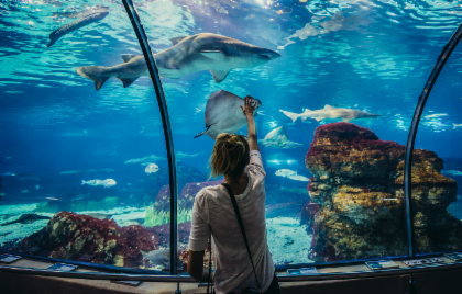 Barcelona Aquarium: Skip The Line