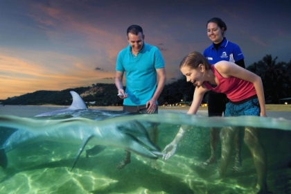 Tangalooma Dolphin Adventure