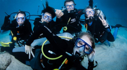 Padi Diving Courses
