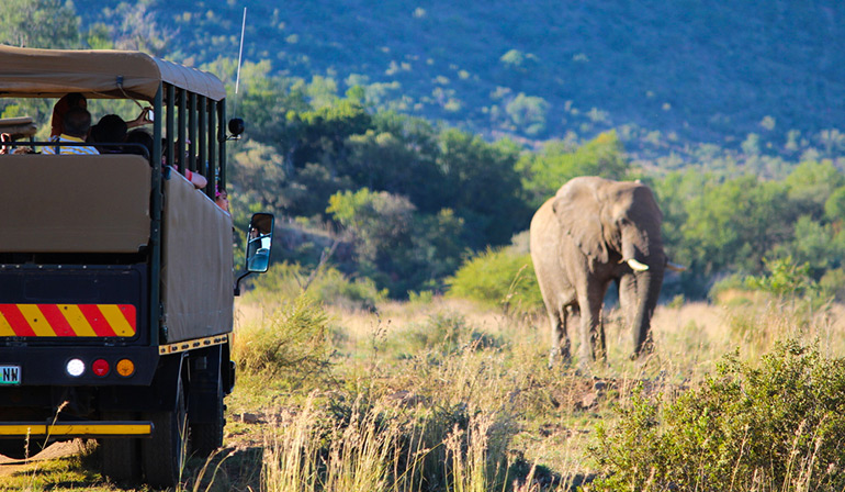 The Esence Of South Africa 5 Days 3 Nights TATZA6123