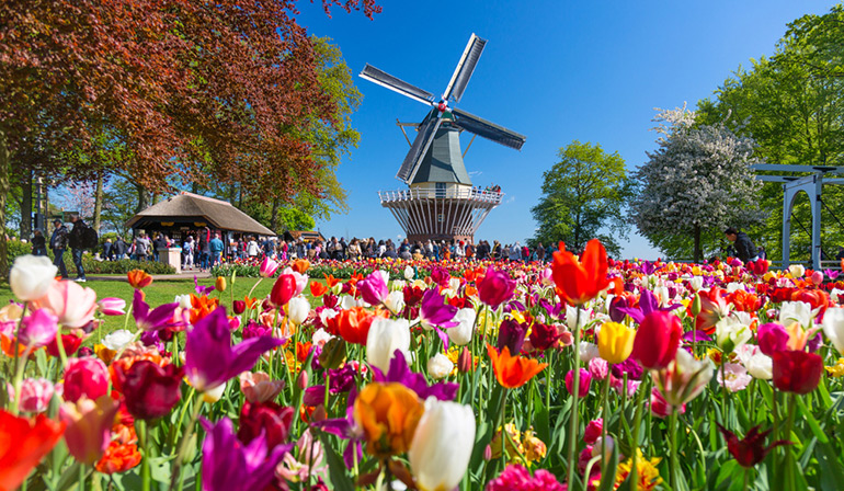 ทัวร์ฝรั่งเศส เบลเยี่ยม เนเธอร์แลนด์ เทศกาลดอกทิวลิป โปรโมชั่นปีละครั้ง