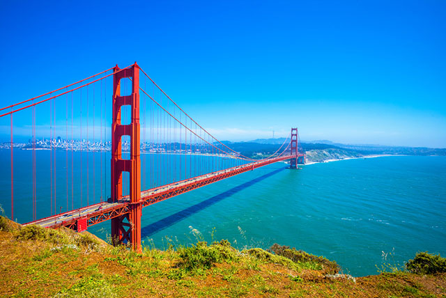 traveliGo-with-california 